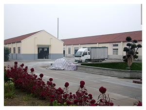 廠區(qū)掠影